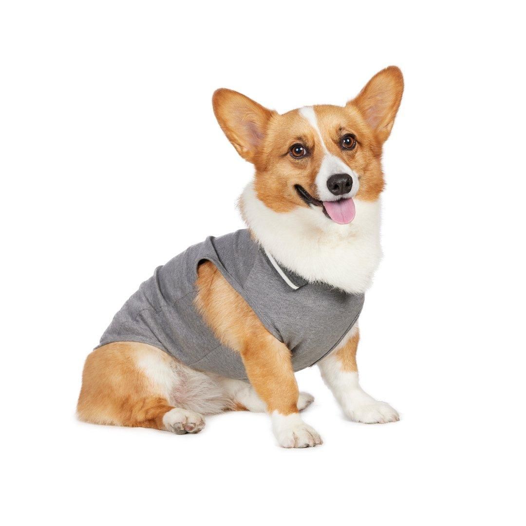 Heal Creek ×フェニックスカントリークラブ コラボ商品 犬型
