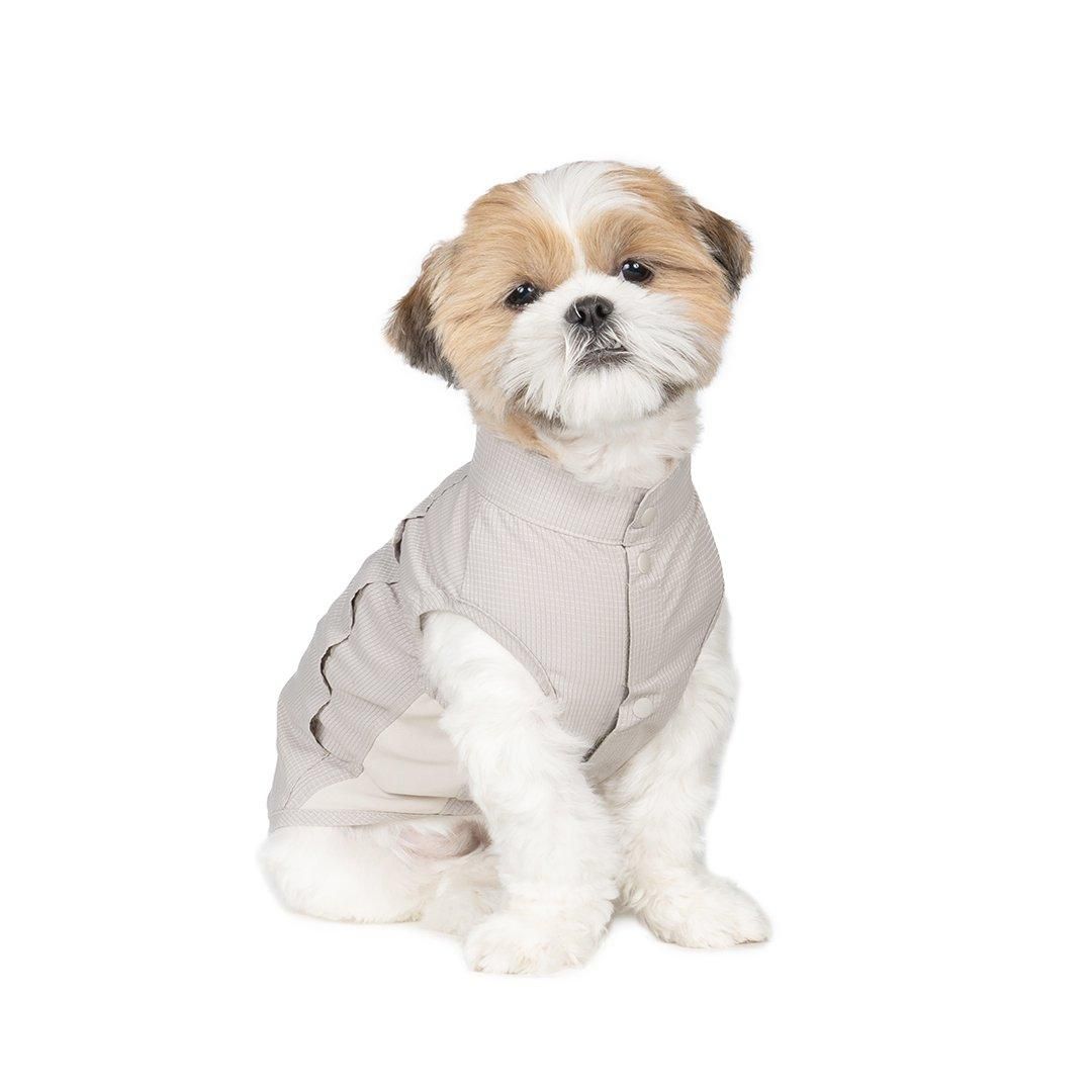 より豊かな暮らしを愛犬と フリーステッチ（free stitch）はシンプルで