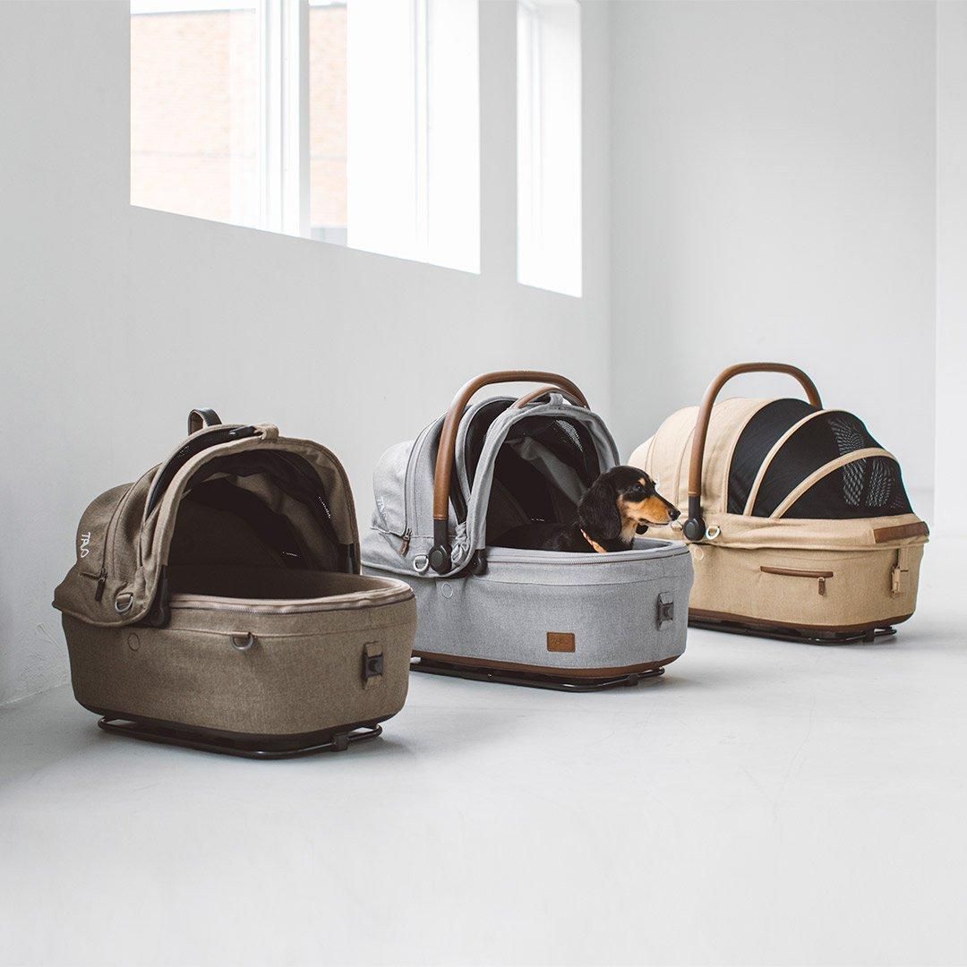 TAVO Maeve メイブ 6R・6X - ドッググッズ・猫グッズ通販 free stitch