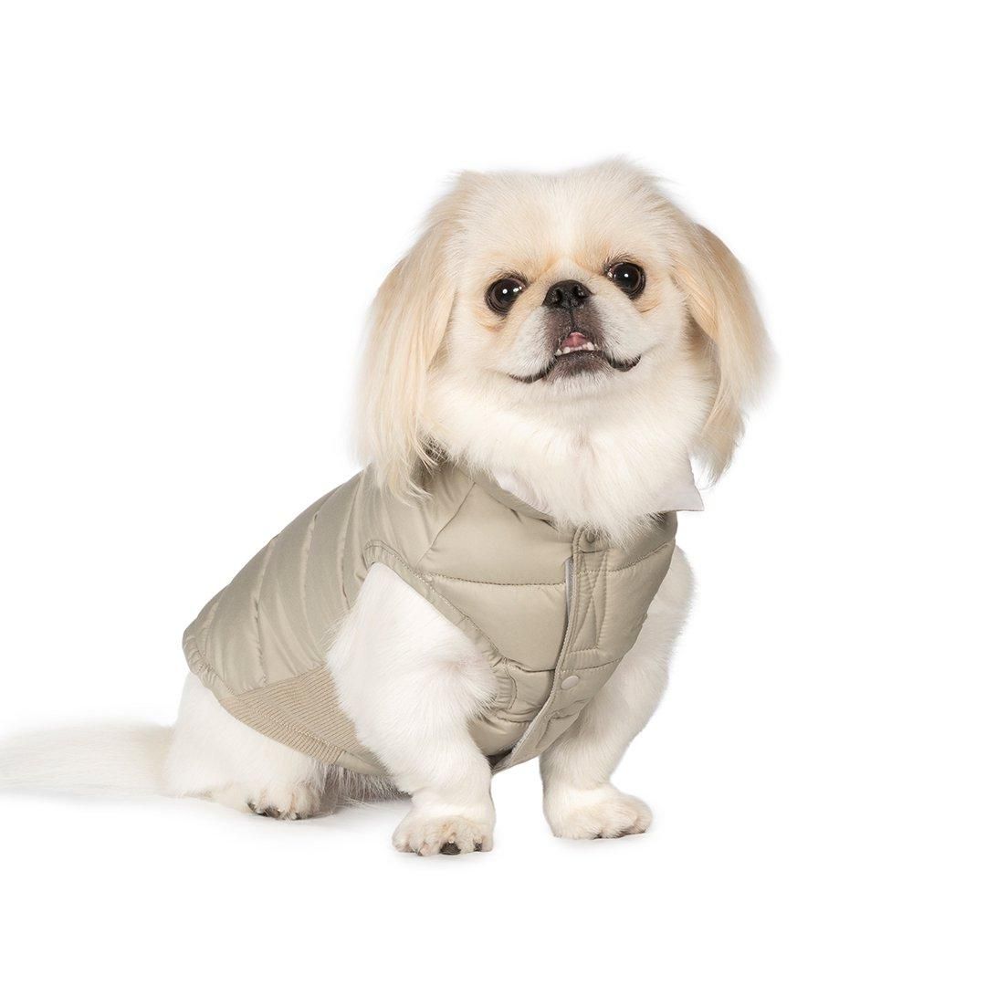 より豊かな暮らしを愛犬と フリーステッチ（free stitch）は