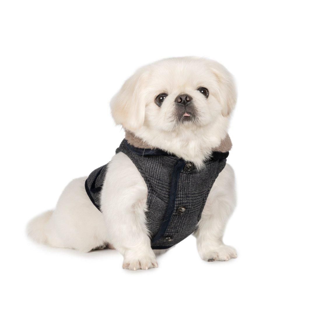 ブラックアンドホワイト犬刺繍リバーシブルベスト ブラックアンドホワイト犬刺繍リバーシブルベスト ブラック