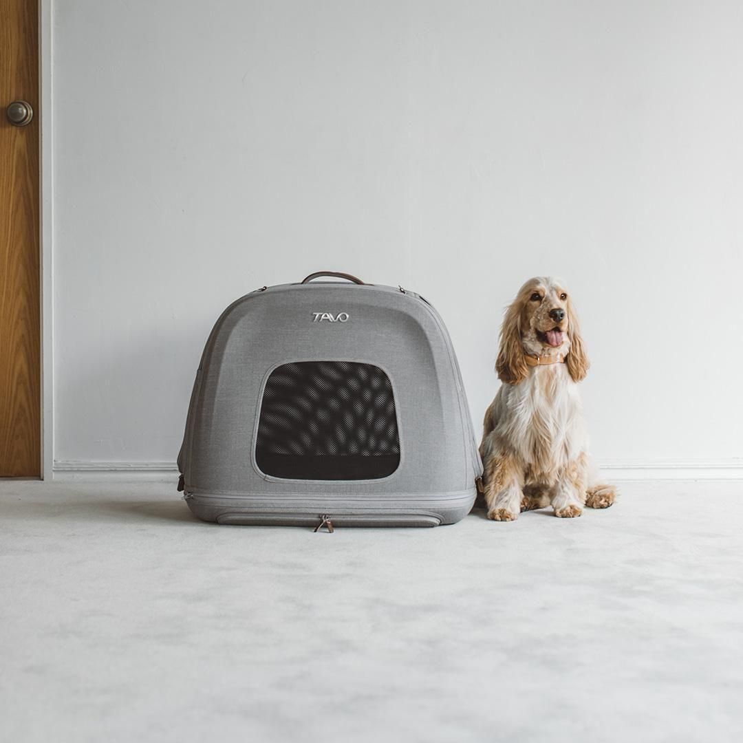 TAVO Crispin クリスピン - ドッググッズ・猫グッズ通販 free stitch