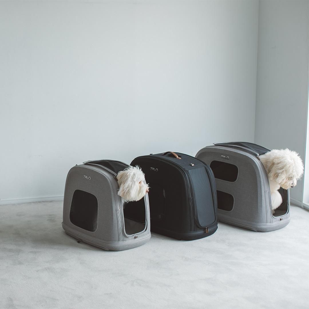 TAVO Crispin クリスピン - ドッググッズ・猫グッズ通販 free stitch