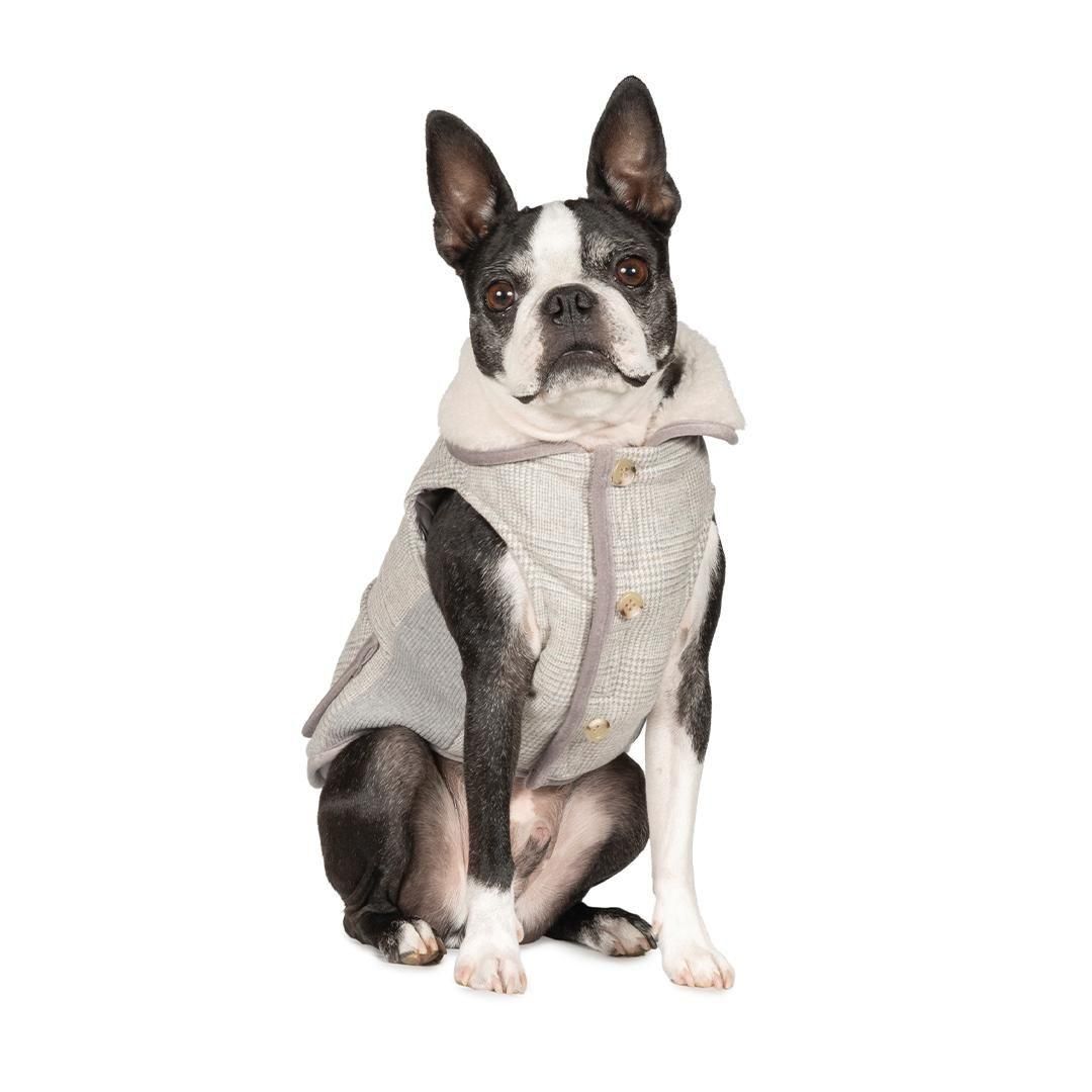 犬っころさま専用 より豊かな暮らしを愛犬と フリーステッチ（free stitch）は