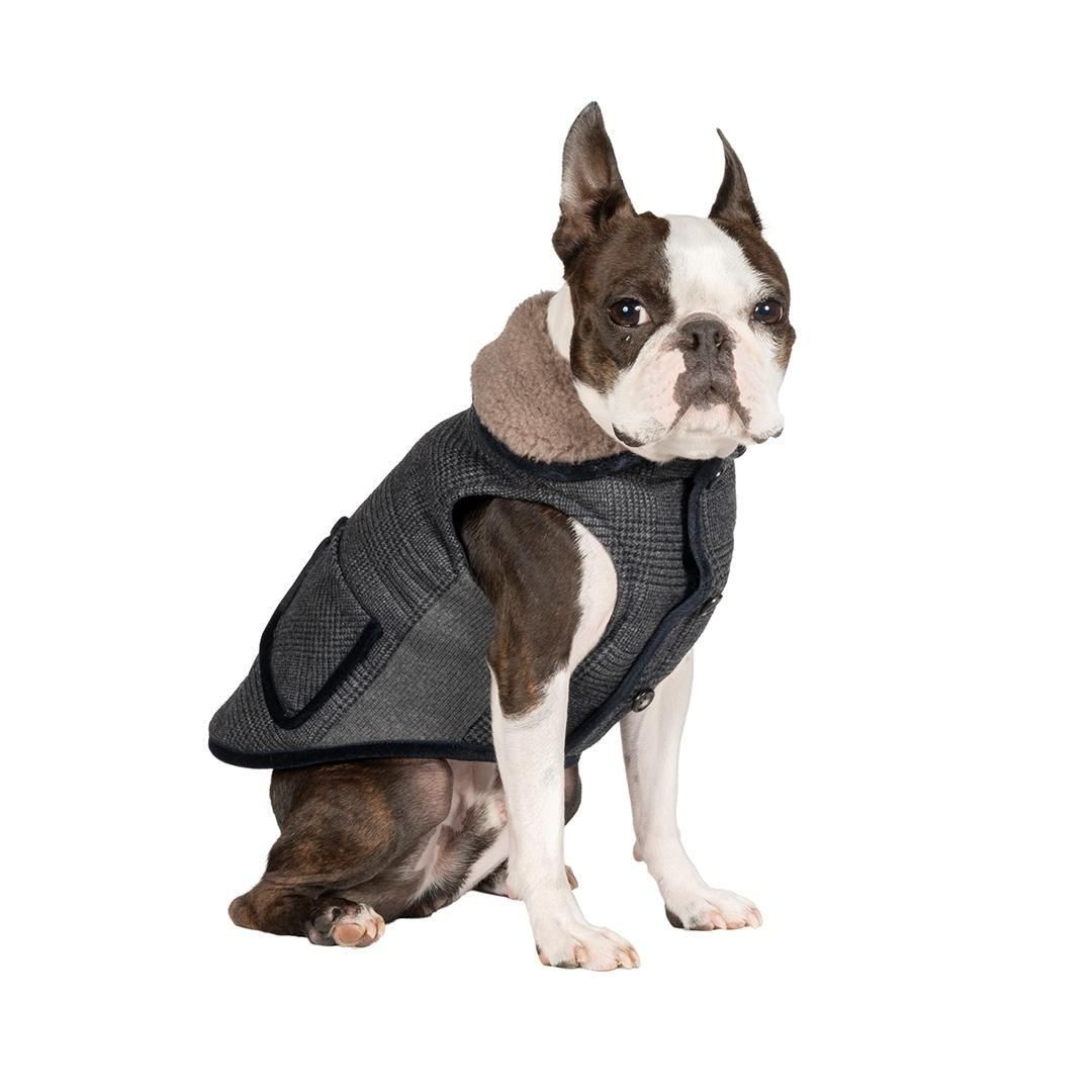 より豊かな暮らしを愛犬と フリーステッチ（free stitch）は