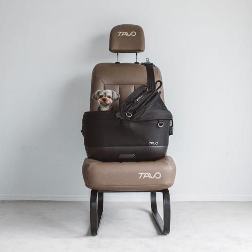 TAVO Maeve iso ᥤ  5X