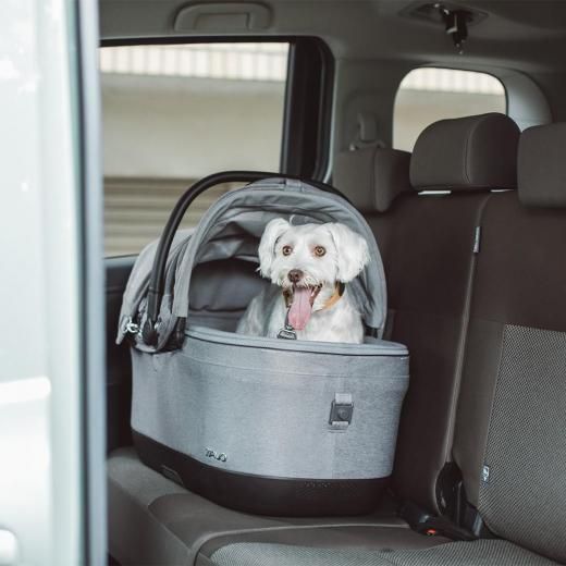 TAVO Maeve iso ᥤ  6X