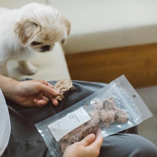  ֿȥե꡼ɥ饤  30g