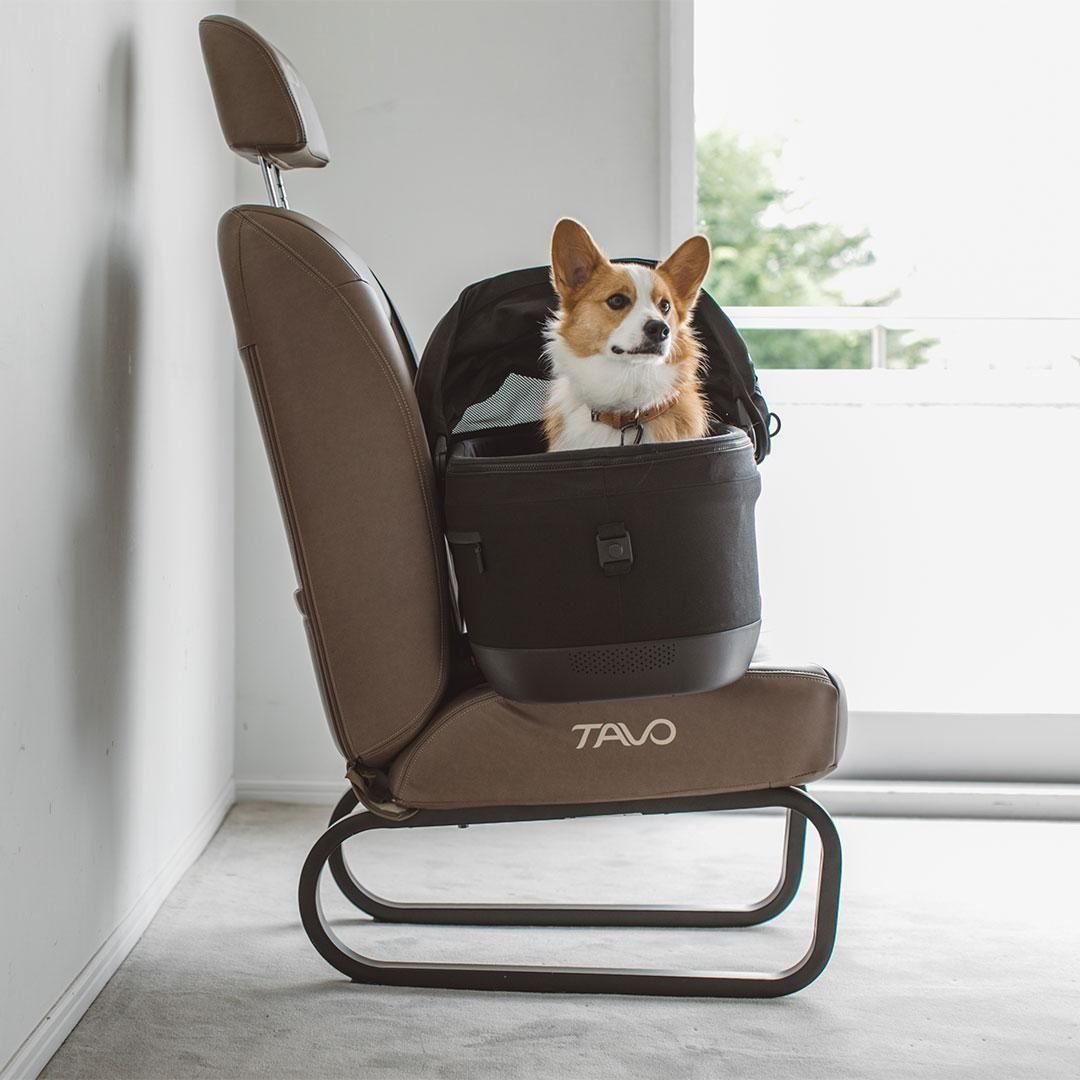 TAVO Maeve iso メイブ アイソ 7X - ドッググッズ・猫グッズ通販 free