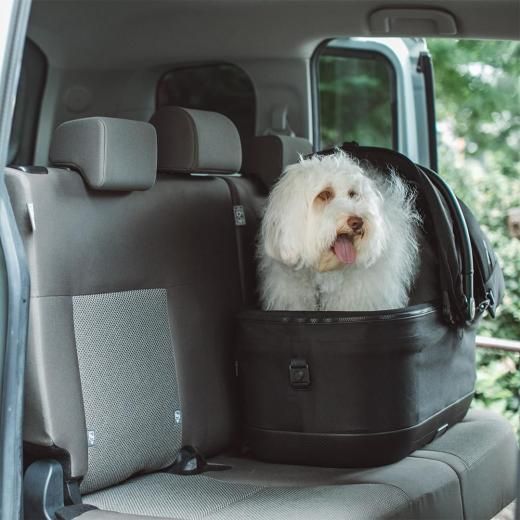 TAVO Maeve iso ᥤ  7X