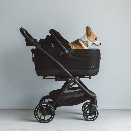 TAVO Maeve iso ᥤ ܥ 7X