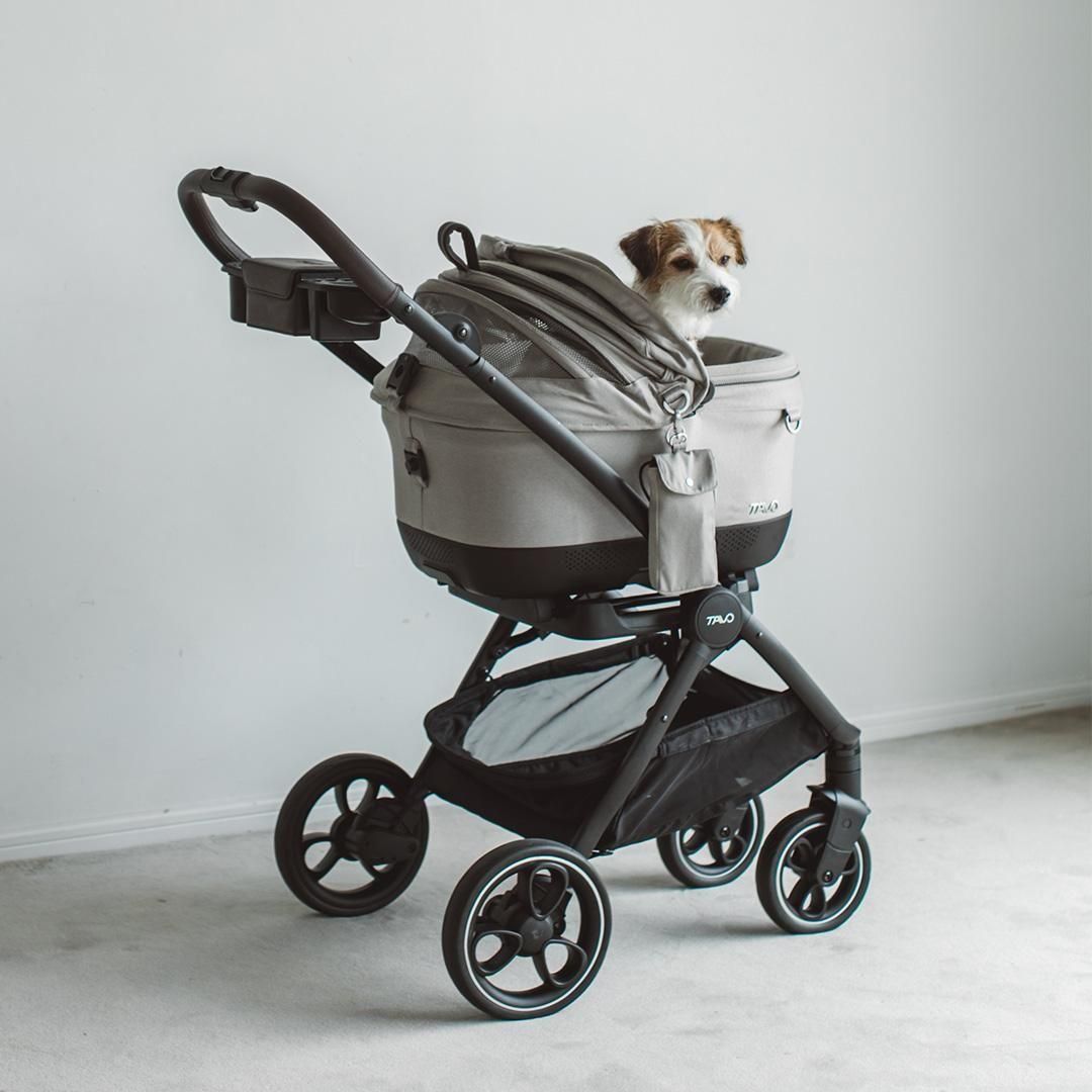 TAVO Maeve iso Wind メイブ アイソ ウィンド ＋ロスコー 5X - ドッグ