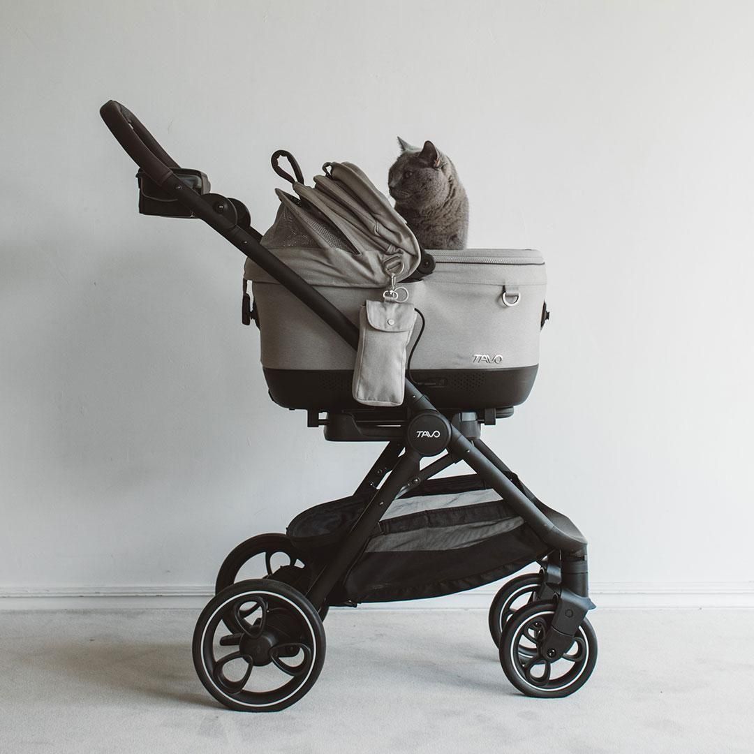 TAVO Maeve iso Wind メイブ アイソ ウィンド ＋ロスコー 5X - ドッグ