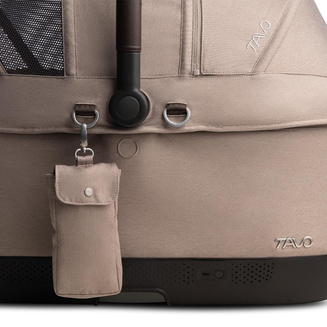 TAVO Maeve iso Wind メイブ アイソ ウィンド ＋ロスコー 5X - ドッグ