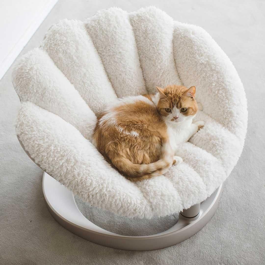 ロードルゥペット用ベッド ロードルゥペット用ベッド LORD LOU-ペットベッド｜インテリア雑貨専門