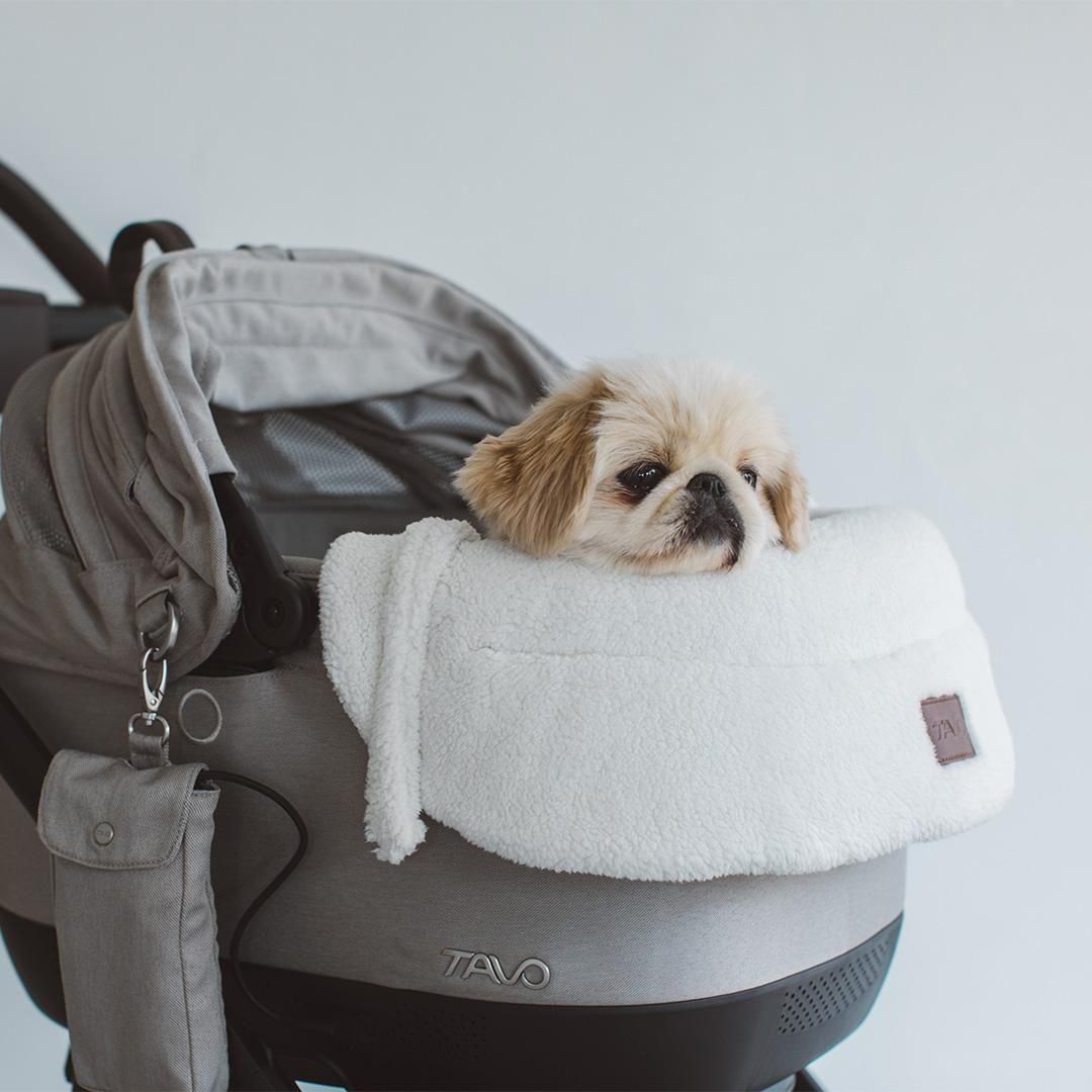 TAVO リバーシブルライナー あごのせクッション - ドッググッズ・猫