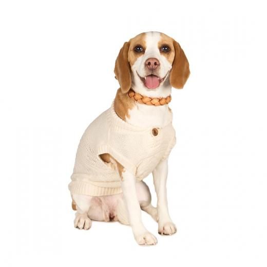 ӡߡȥå 2025 Ʋͽڡں