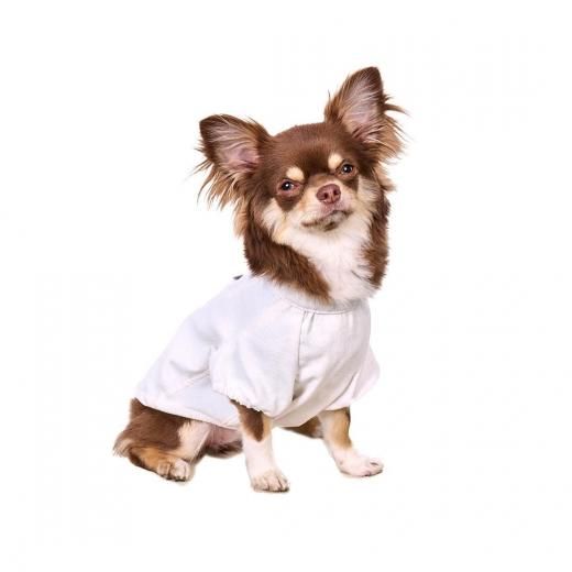 եƥХ 2025 Ʋͽڡ ں