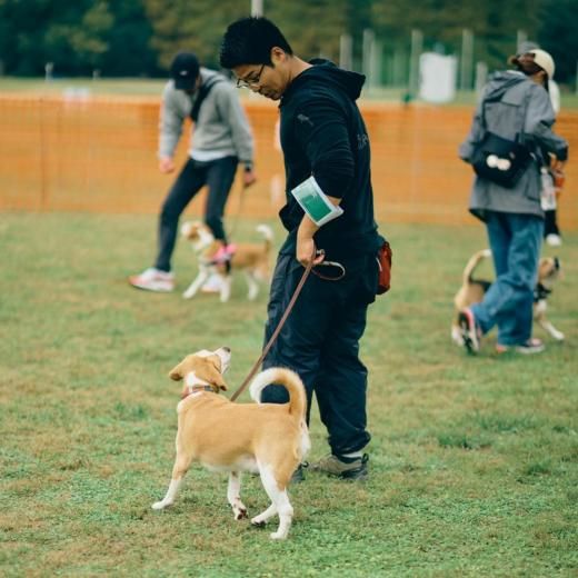 ӡ ߡȥå 2025 ̥åͽڡں