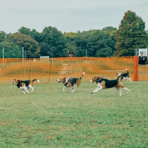 ӡߡȥå 2025 30m졼ͽڡں