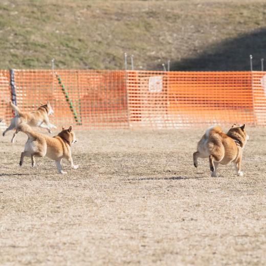 ƥեƥХ 2025 30m졼ͽڡں