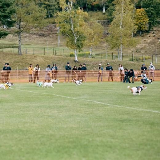 ååƥꥢեƥХ 2025 30m졼ͽڡ ں