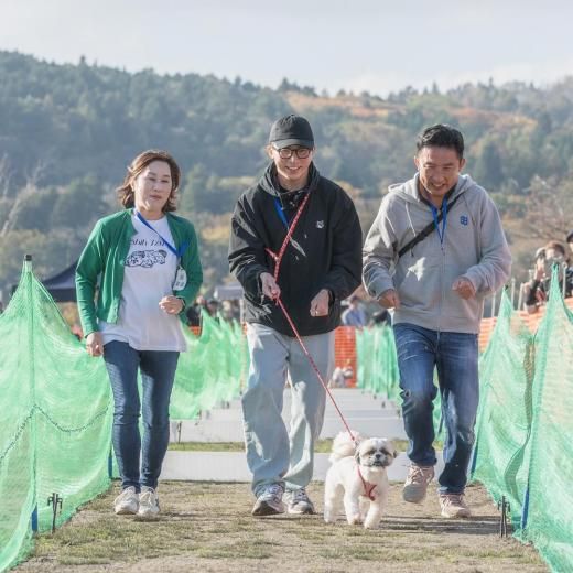 åեɥߡȥå 2025 ²ǥåͽڡ ں