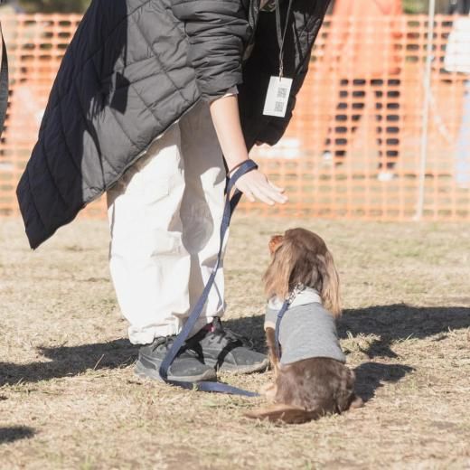 åեɥߡȥå 2025 ̥åͽڡں