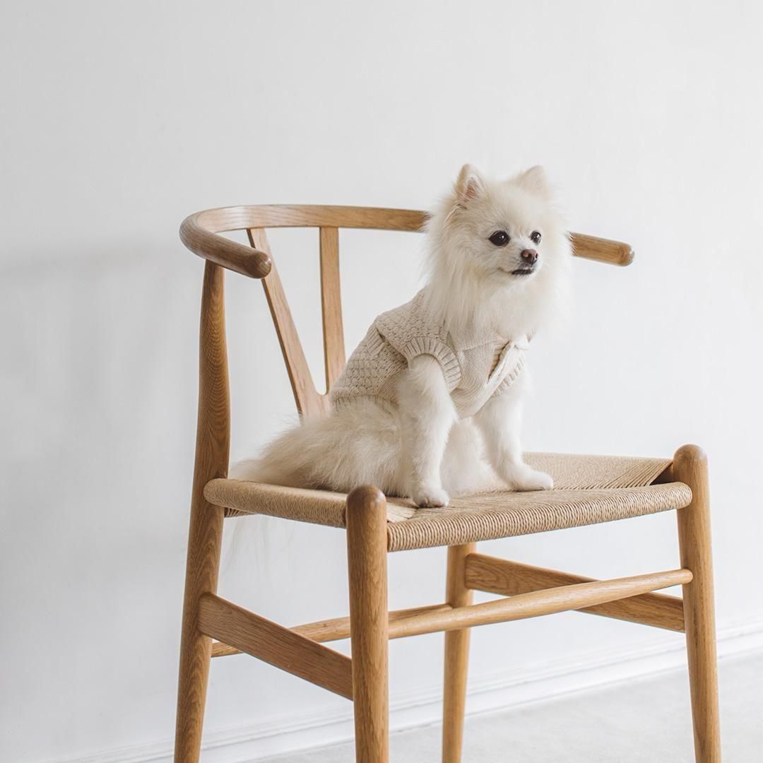 オーガニック ポップコーンニット - ドッググッズ・猫グッズ通販