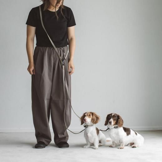 ɡ ե ѥ졼ȥ꡼ ¿Ƭ