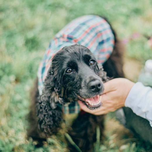 åեƥХ 2025 ̥åͽڡں