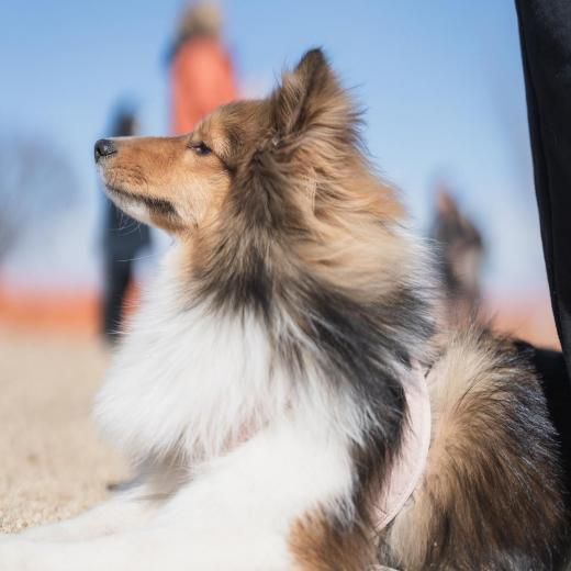 ƥߡȥå 2026  (27) ÿڡ