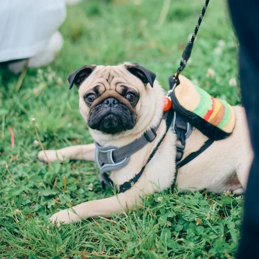 ѥߡȥå 2026  (28) ÿڡ