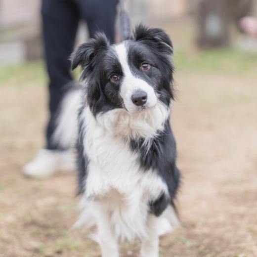 ܡ꡼ߡȥå 2026  (221) ÿڡ