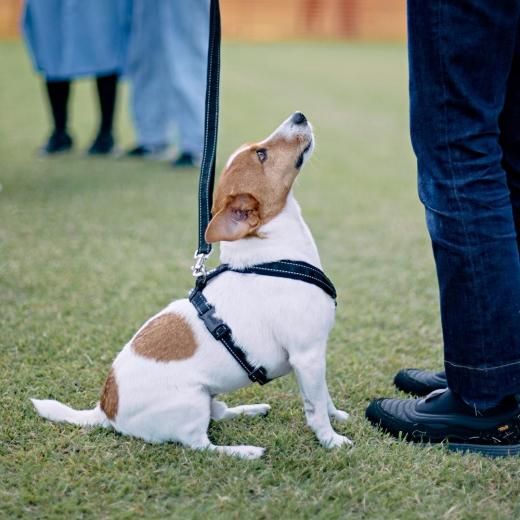 ååƥꥢեƥХ 2025 ̥åͽڡں