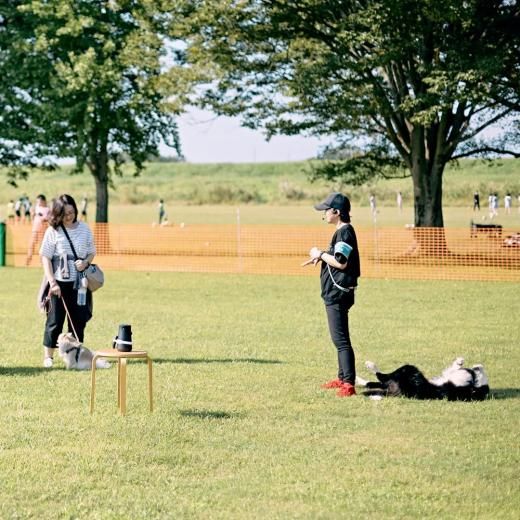 ݥ˥ ߡȥå 2025 ̥åͽڡ ں