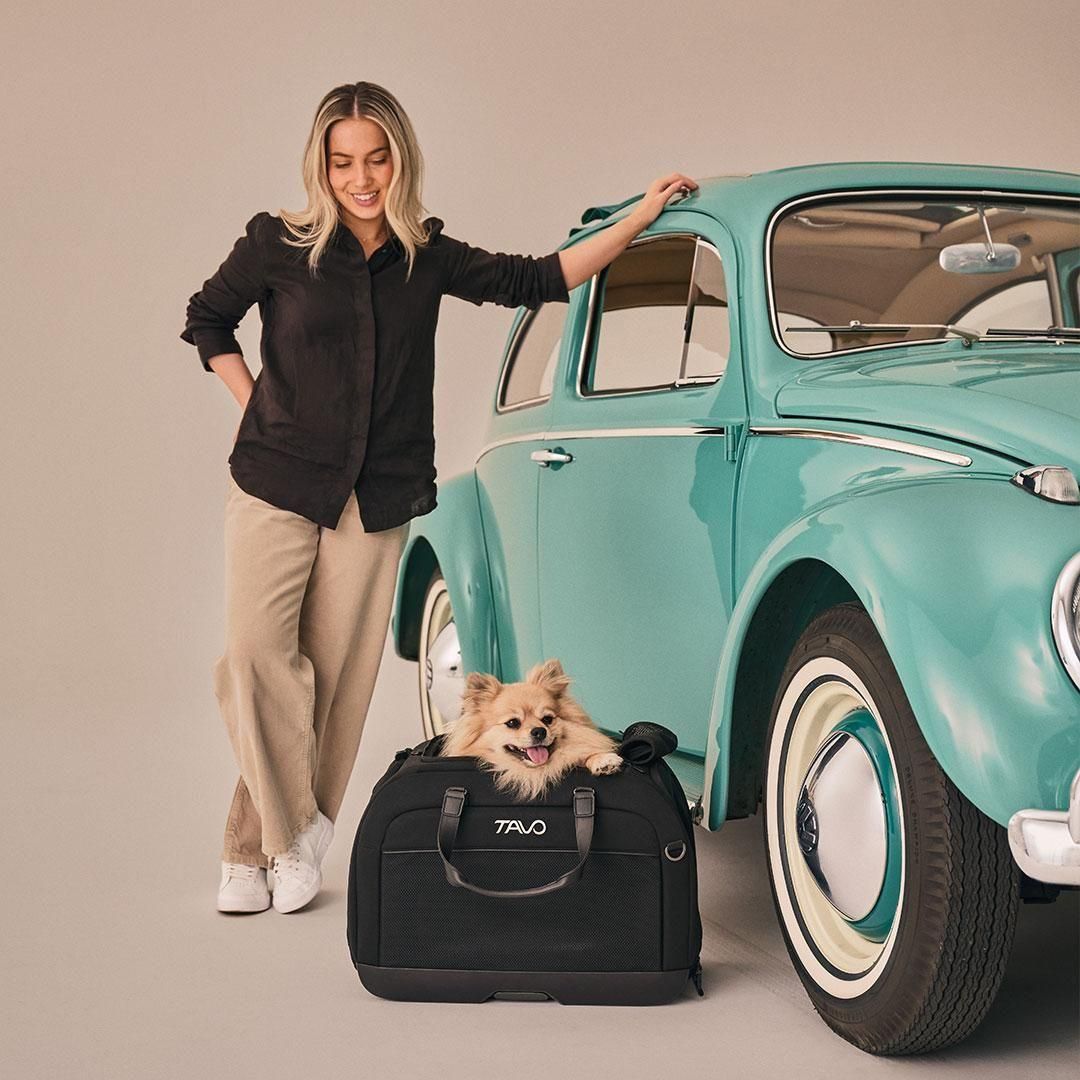 TAVO Hendrick ヘンドリック - ドッググッズ・猫グッズ通販 free