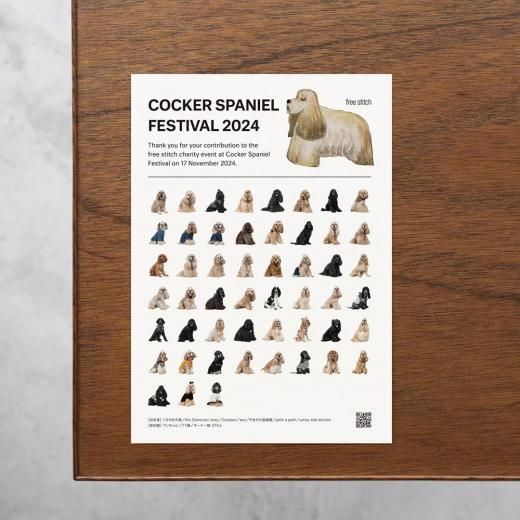 åѥ˥եƥХ2025Ʋ񻲲ü ե饤䡼