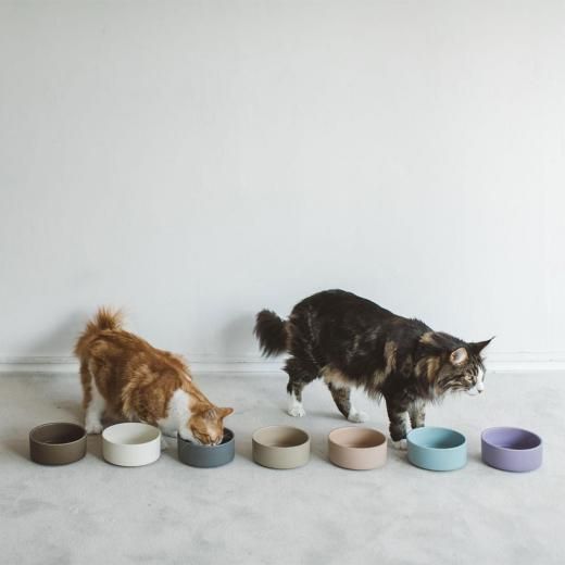 &CAT MINO BOWL / water bowl