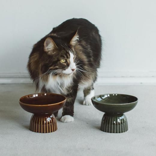 &CAT KANON / food & water bowl