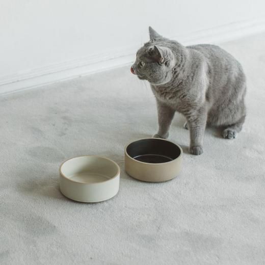 &CAT TAJIMI / craft bowl