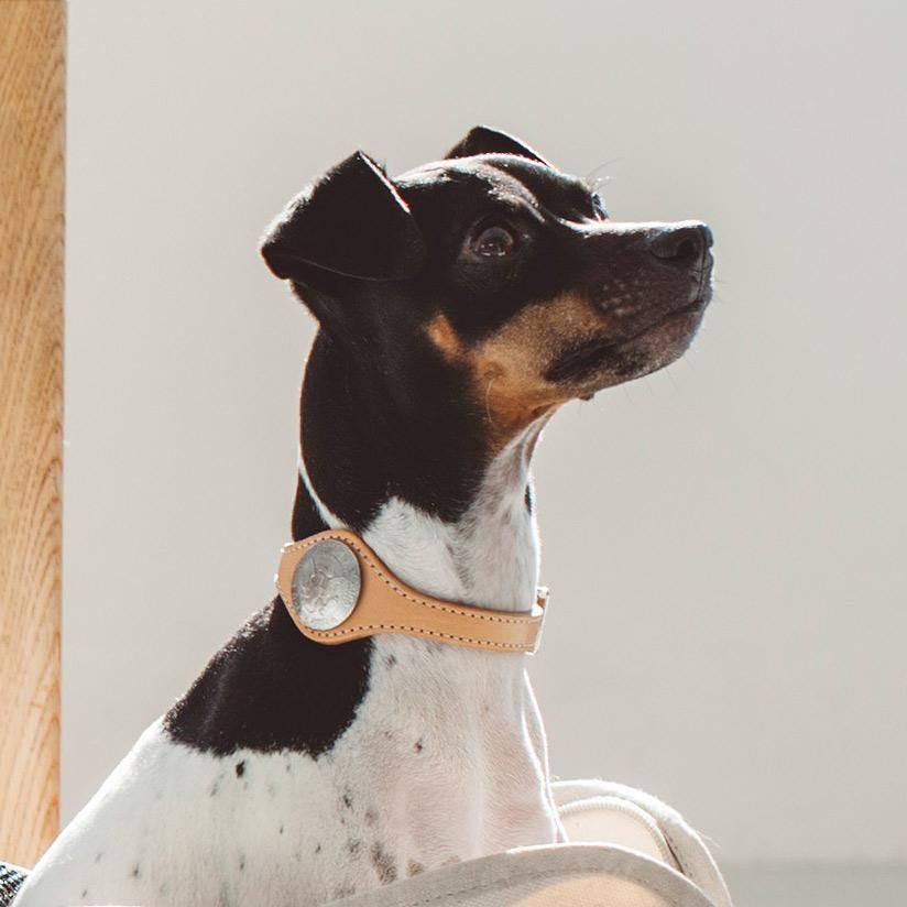 美品】 ファーパッチワークトップ グレースコンチネンタ フォックス ミンク