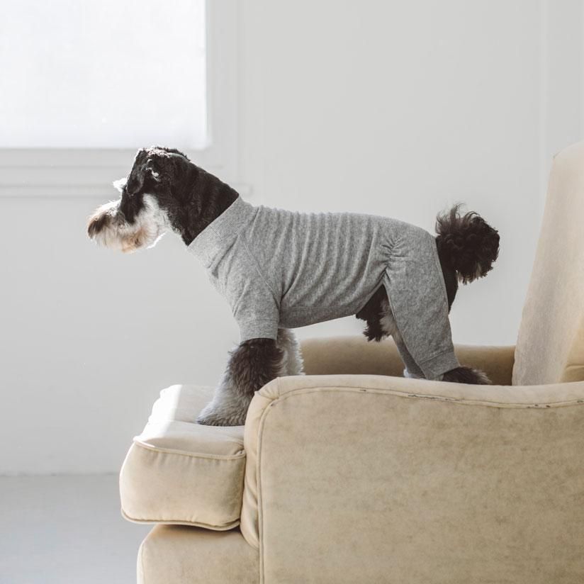 犬の服はドッググッズ 通販/販売のフリーステッチ