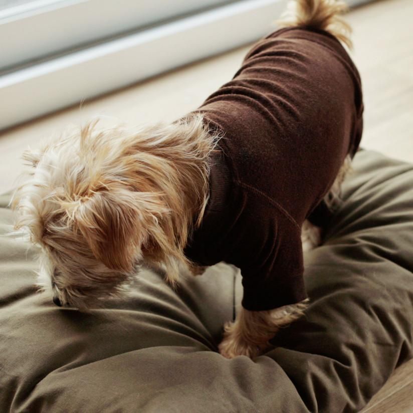 犬の服はドッググッズ 通販/販売のフリーステッチ