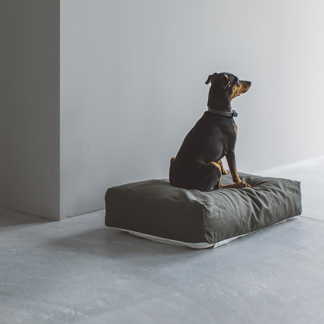 犬のベッドはペットグッズ通販 販売のフリーステッチ