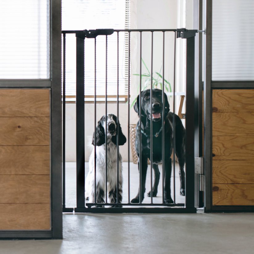 北欧スタイルの大型犬 ペットフェンスはドッググッズブランド 通販 販売のフリーステッチ