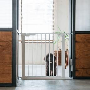 北欧はデンマーク Babydan社からscandinavian Pet Designのスタイリッシュな犬用サークル ゲージが届きました 北欧はデンマーク Babydan社からscandinavian Pet Designのスタイリッシュな犬用サークル ゲージが届きました