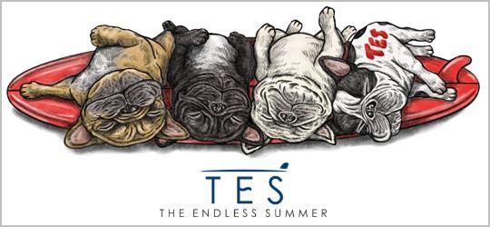 TES/エンドレスサマー