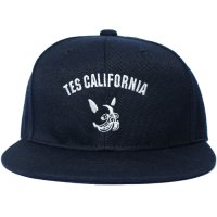 【TES/テス】TES CALIFORNIA LOGO BB CAP　NAVY　スナップバックキャップ　エンドレスサマー