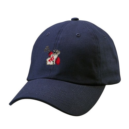 TES/テス】TES BUHI GOLF LOW CAP NAVY ゴルフキャップ エンドレス